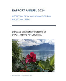 Rapport annuel 2024
